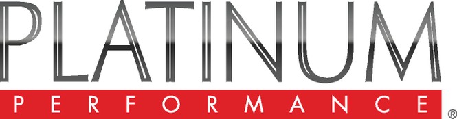 store/news/4058/Platinum Logo (for light background).eps_max.jpg